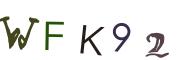 Vaizdinė CAPTCHA užduotis