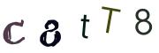 Vaizdinė CAPTCHA užduotis